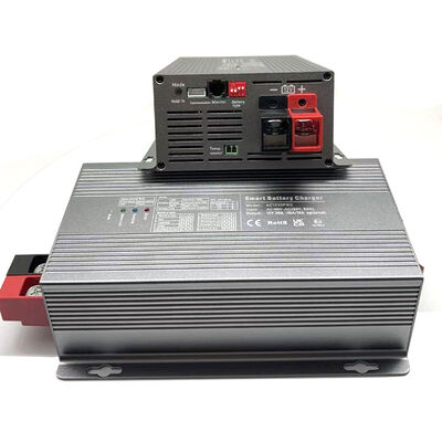 Caricabatterie intelligente AC/DC 180V-260V AC 50Hz 12V 30A / 24V 15A / 48V 10A