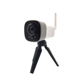 Stoccaggio libero a pile della nuvola della camma 1080p di sicurezza del IP di Mini Wifi Security Camera With 18650