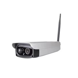 videocamera di sicurezza di Wifi della casa 1080P con un'audio visione notturna impermeabile di 2 modi IP66
