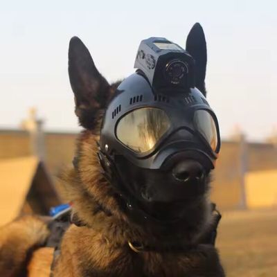 Streaming in diretta Truppe Militare Casco tattico Fotocamera con 4G GPS e 2.4 GHz Wifi